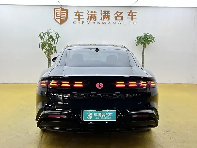 2024 Denza Z9 с пробегом 29 000 км