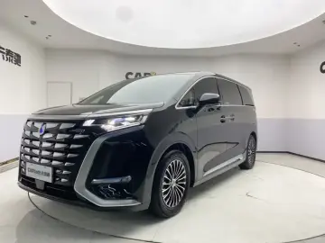 Denza D9