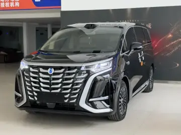 Denza D9