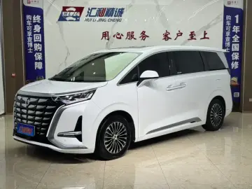 Denza D9