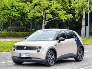 Nio Firefly