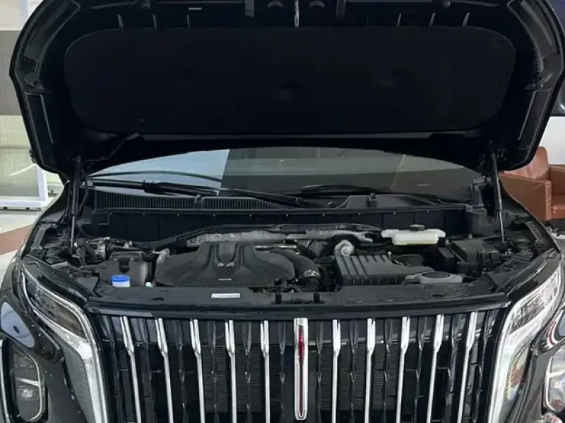 2025 Hongqi HS7 с пробегом 100 км