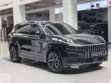 2024 Lynk & Co 09 с пробегом 24 200 км