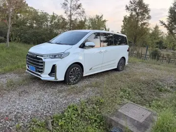 Maxus G20
