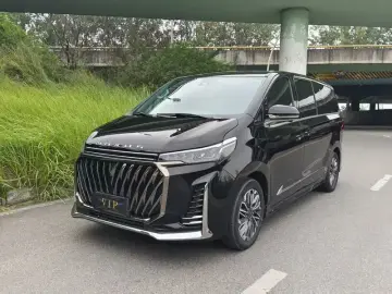 Maxus G20