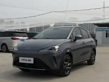 Hozon Neta Aya