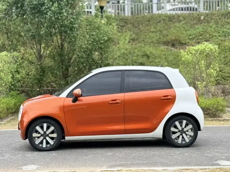 2019 Ora Black Cat с пробегом 72 000 км