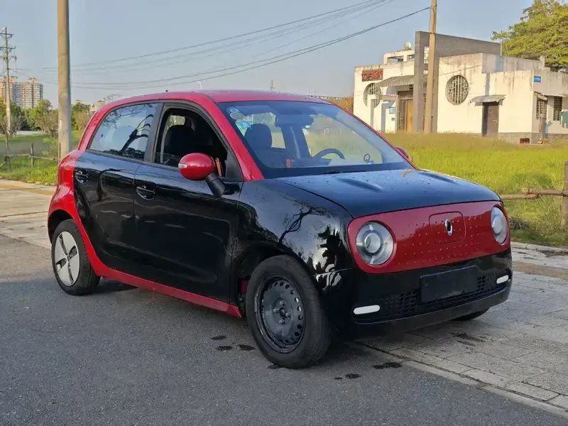 2021 Ora Black Cat с пробегом 66 000 км