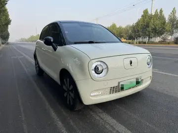 2021 Ora Black Cat с пробегом 110 000 км