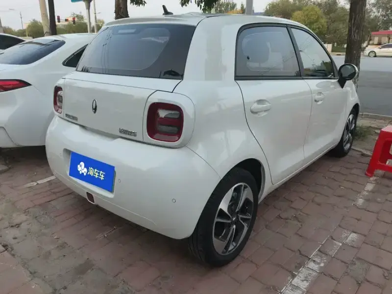 2022 Ora Black Cat с пробегом 77 000 км