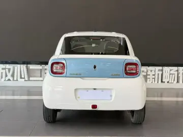 2021 Ora Black Cat с пробегом 70 000 км