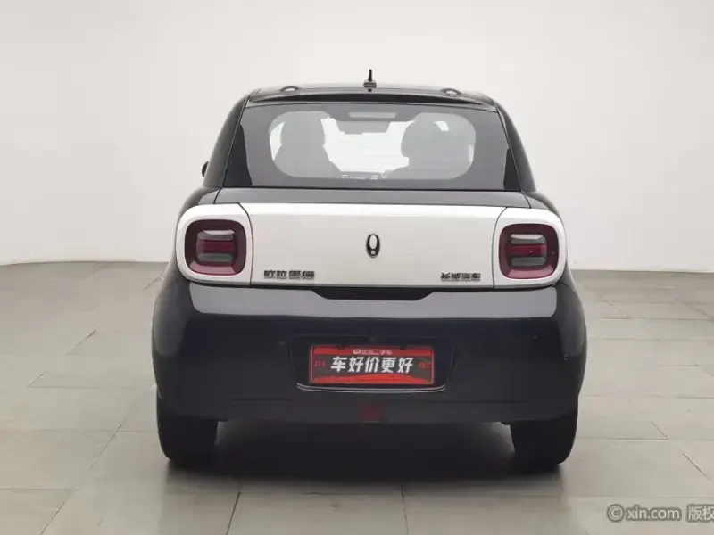 2022 Ora Black Cat с пробегом 55 700 км