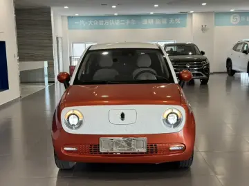 2021 Ora Black Cat с пробегом 126 000 км