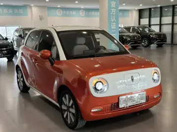 2021 Ora Black Cat с пробегом 126 000 км
