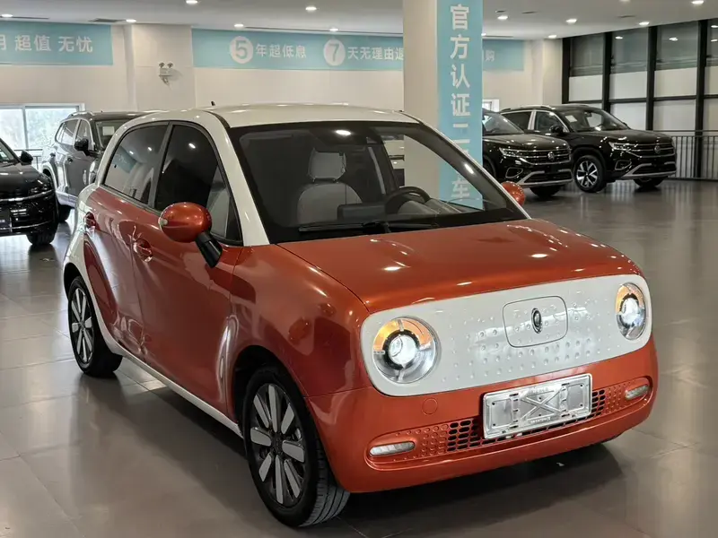 2021 Ora Black Cat с пробегом 126 000 км