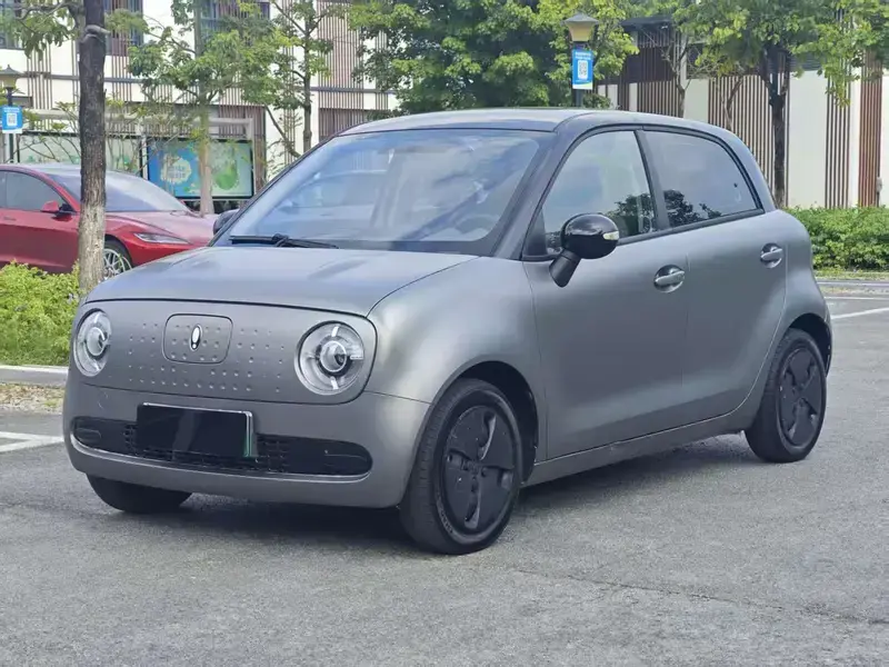 2022 Ora Black Cat с пробегом 63 000 км