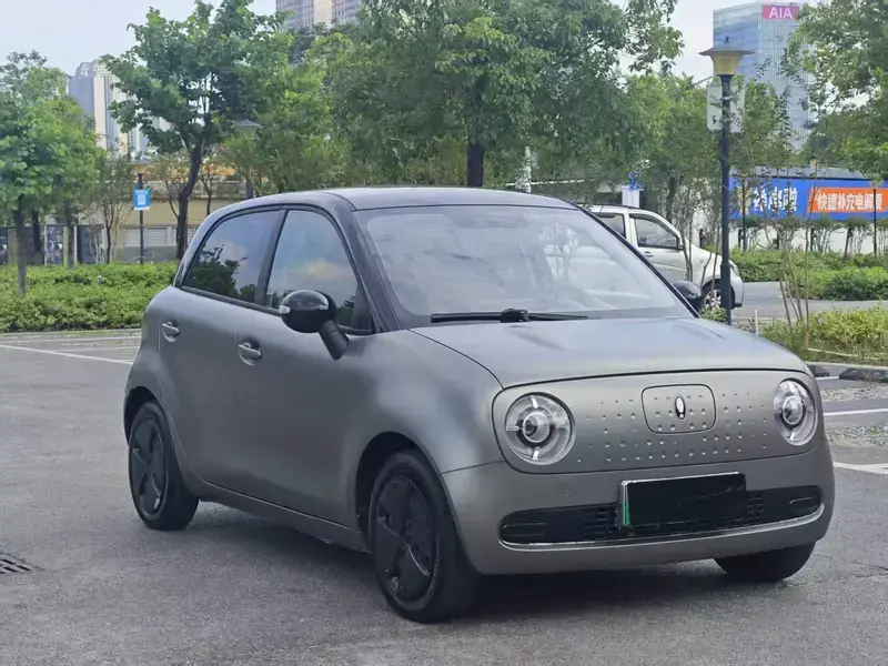 2022 Ora Black Cat с пробегом 63 000 км