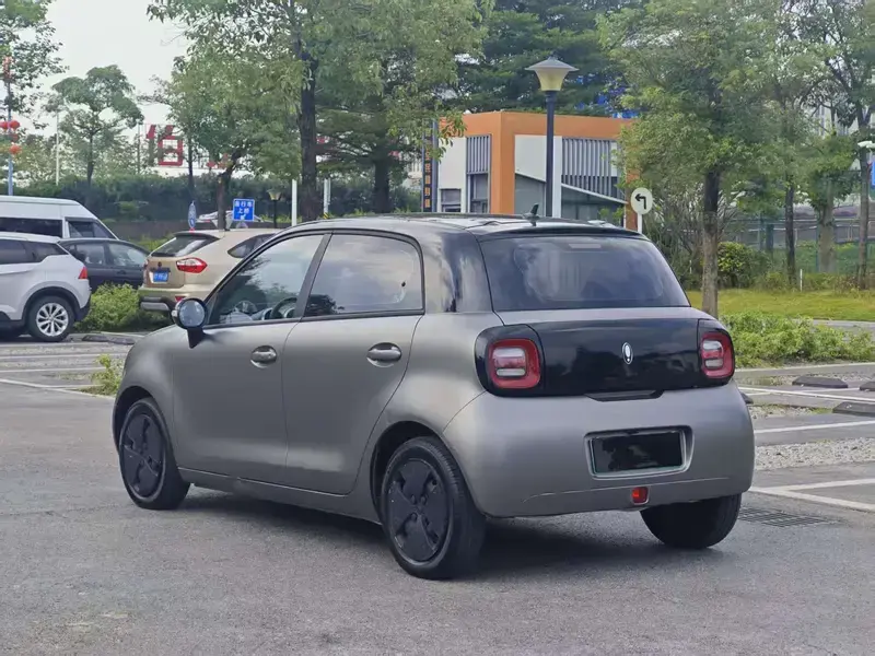 2022 Ora Black Cat с пробегом 63 000 км
