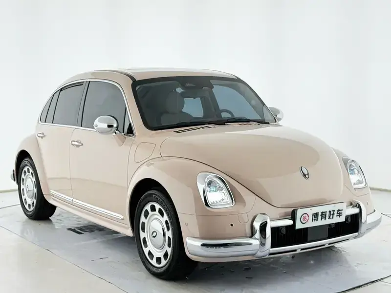 2022 Ora Ballet Cat с пробегом 5 300 км