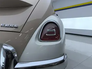 2023 Ora Ballet Cat с пробегом 20 000 км