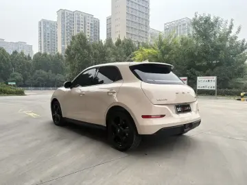 2025 Ora Good Cat с пробегом 12 000 км