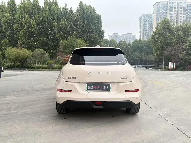 2025 Ora Good Cat с пробегом 12 000 км
