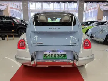 2022 Ora Ballet Cat с пробегом 100 000 км