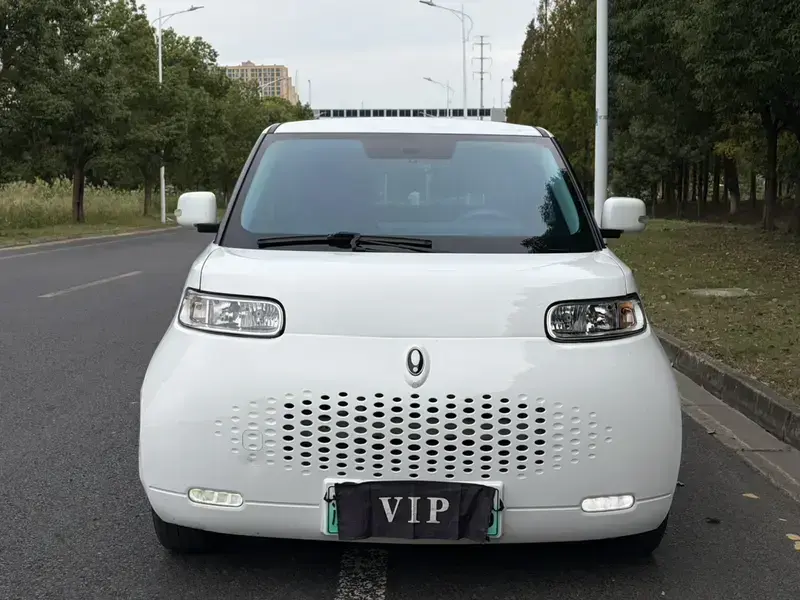2022 Ora White Cat с пробегом 68 000 км