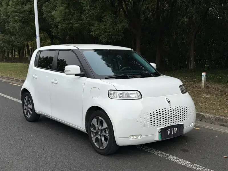2022 Ora White Cat с пробегом 68 000 км