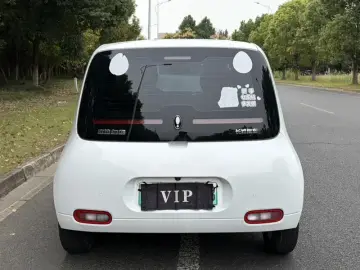 2022 Ora White Cat с пробегом 68 000 км