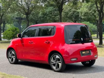 2022 Ora White Cat с пробегом 27 000 км