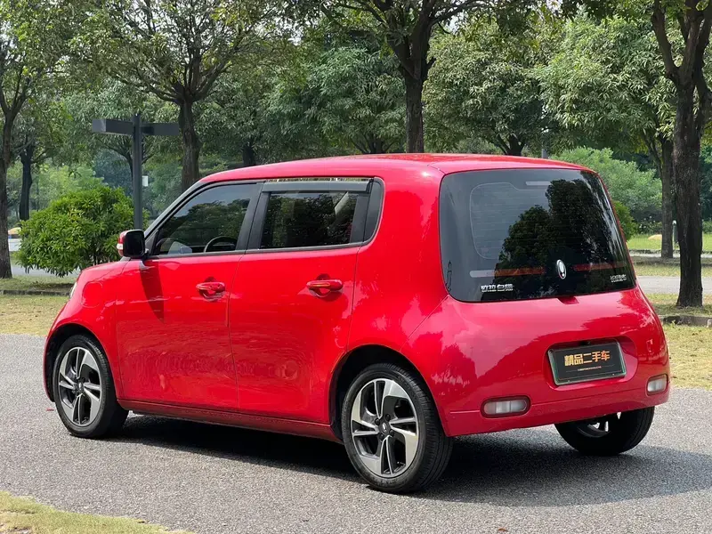 2022 Ora White Cat с пробегом 27 000 км