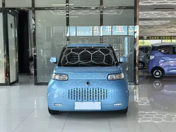 2020 Ora White Cat с пробегом 40 000 км