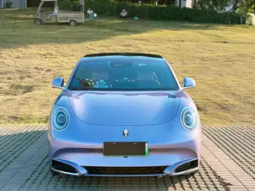 2022 Ora Lightning Cat с пробегом 14 200 км