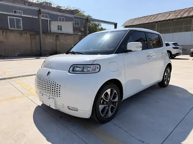 2020 Ora White Cat с пробегом 80 000 км