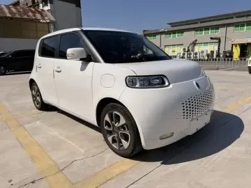 2020 Ora White Cat с пробегом 80 000 км