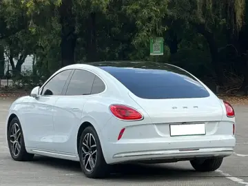 2022 Ora Lightning Cat с пробегом 40 000 км