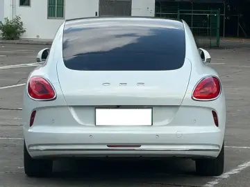2022 Ora Lightning Cat с пробегом 40 000 км