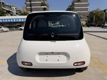 2020 Ora White Cat с пробегом 80 000 км