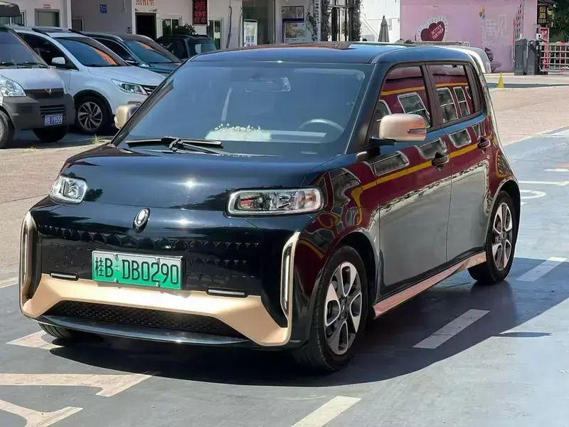 2022 Ora White Cat с пробегом 48 000 км
