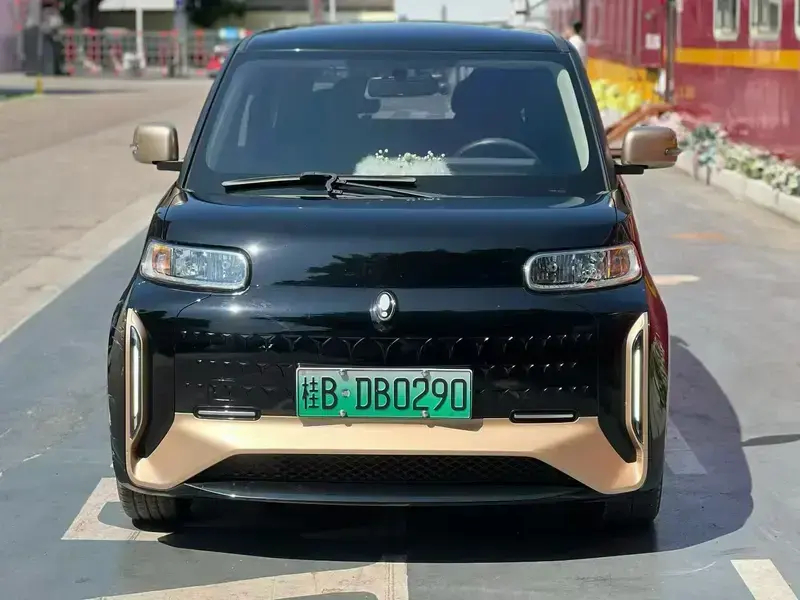 2022 Ora White Cat с пробегом 48 000 км
