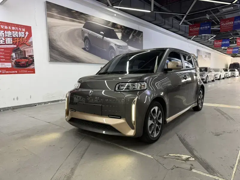 2022 Ora White Cat с пробегом 77 000 км