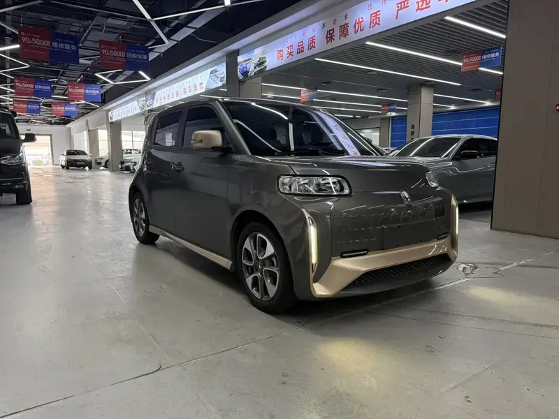 2022 Ora White Cat с пробегом 77 000 км