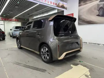 2022 Ora White Cat с пробегом 77 000 км