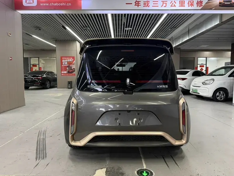 2022 Ora White Cat с пробегом 77 000 км