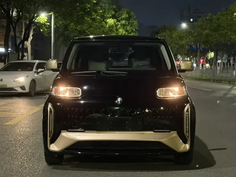 2022 Ora White Cat с пробегом 33 000 км