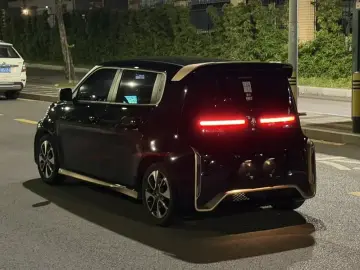 2022 Ora White Cat с пробегом 33 000 км