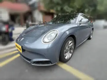 2022 Ora Lightning Cat с пробегом 60 600 км