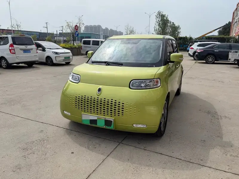 2020 Ora White Cat с пробегом 103 000 км