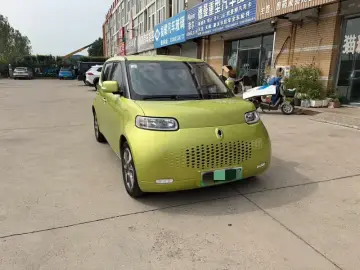 2020 Ora White Cat с пробегом 103 000 км